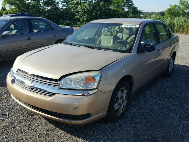 1G1ZT52835F200849 - 2005 CHEVROLET MALIBU LS 金色 照片 2