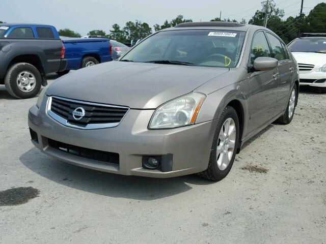 1N4BA41E18C824418 - 2008 NISSAN MAXIMA SE TAN photo 2