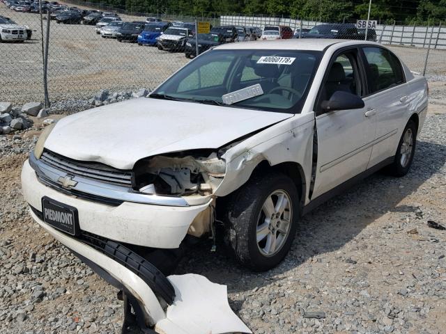 1G1ZT54895F197291 - 2005 CHEVROLET MALIBU LS თეთრი ფოტო 2