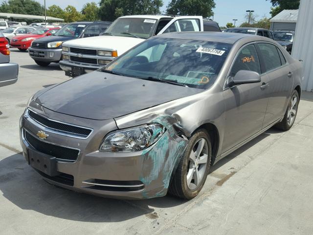 1G1ZC5E13BF239614 - 2011 CHEVROLET MALIBU 1LT TAN photo 2