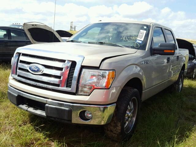 1FTEW1C88AFD86841 - 2010 FORD F150 SUPER TAN photo 2