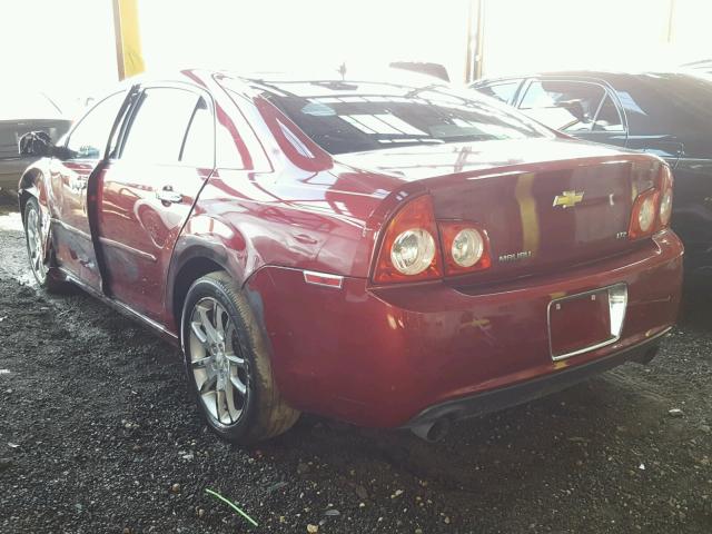 1G1ZK57779F104232 - 2009 CHEVROLET MALIBU LTZ 栗色 照片 3