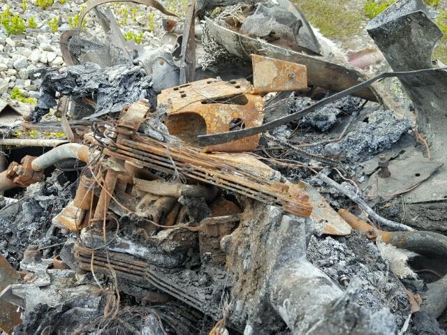 1FUGGLDR8HLHJ0628 - 2017 FREIGHTLINER CASCADIA 1 BURN photo 8