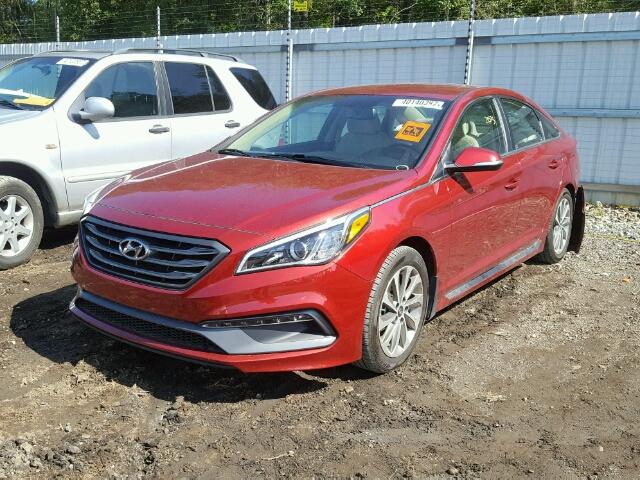 5NPE34AF6GH381518 - 2016 HYUNDAI SONATA SPO RED photo 2