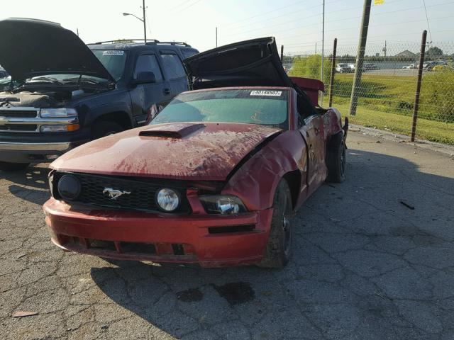 1ZVHT85H365221124 - 2006 FORD MUSTANG RED photo 2