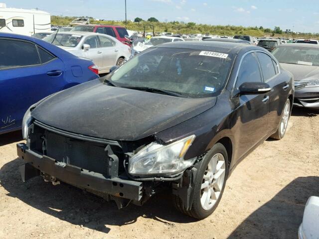 1N4AA5AP1BC858725 - 2011 NISSAN MAXIMA PURPLE photo 2