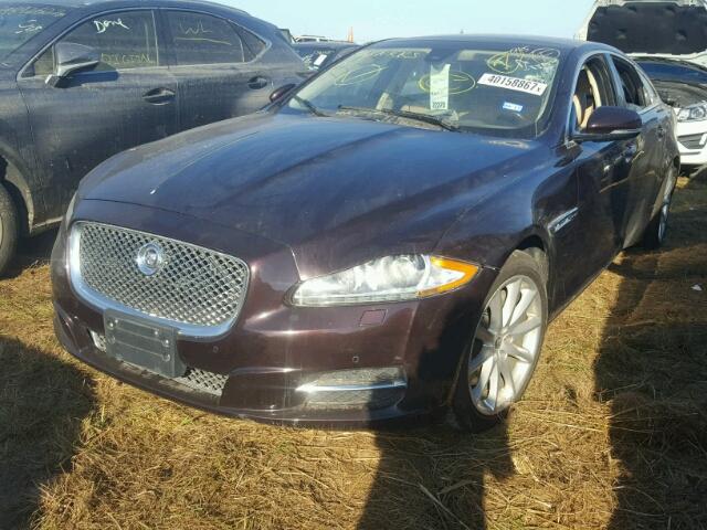 SAJWA1CB9CLV38081 - 2012 JAGUAR XJ MAROON photo 2