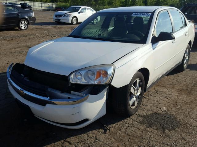 1G1ZT52865F296329 - 2005 CHEVROLET MALIBU LS თეთრი ფოტო 2