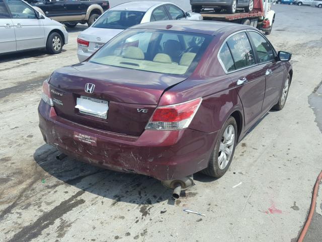 1HGCP36808A029383 - 2008 HONDA ACCORD EXL BURGUNDY photo 4