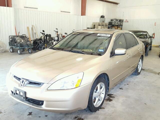 1HGCM56815A023446 - 2005 HONDA ACCORD EX GOLD photo 2