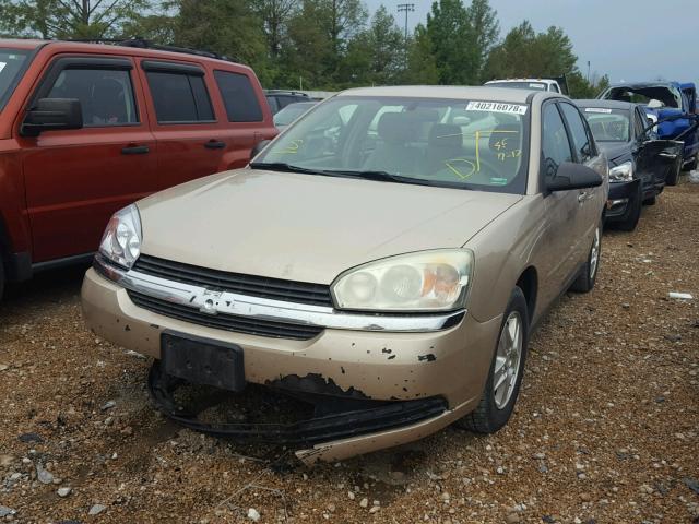 1G1ZT54884F115551 - 2004 CHEVROLET MALIBU LS ოქროსფერი ფოტო 2