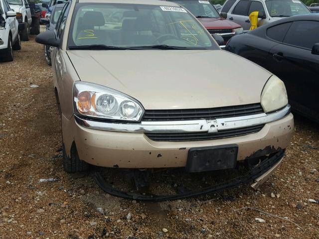 1G1ZT54884F115551 - 2004 CHEVROLET MALIBU LS ოქროსფერი ფოტო 9