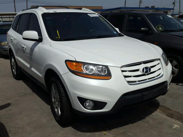 5NMSK4AG8AH339807 - 2010 HYUNDAI SANTA FE L WHITE photo 1