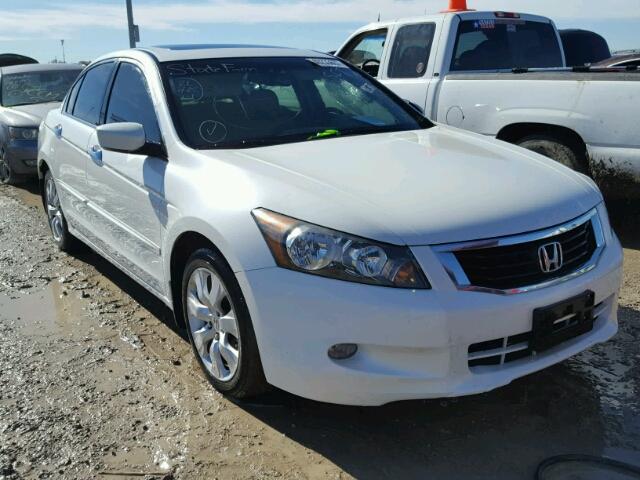 5KBCP3F82AB012582 - 2010 HONDA ACCORD WHITE photo 1