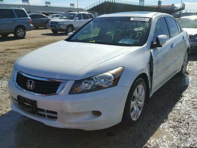 5KBCP3F82AB012582 - 2010 HONDA ACCORD WHITE photo 2