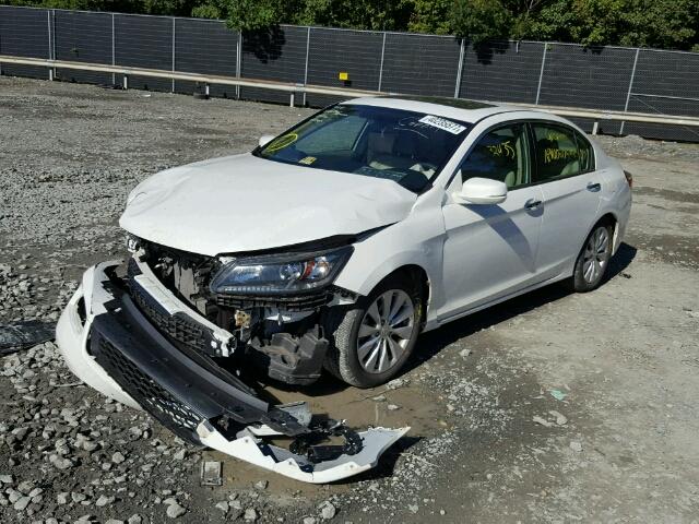 1HGCR2F71FA112362 - 2015 HONDA ACCORD EX WHITE photo 2