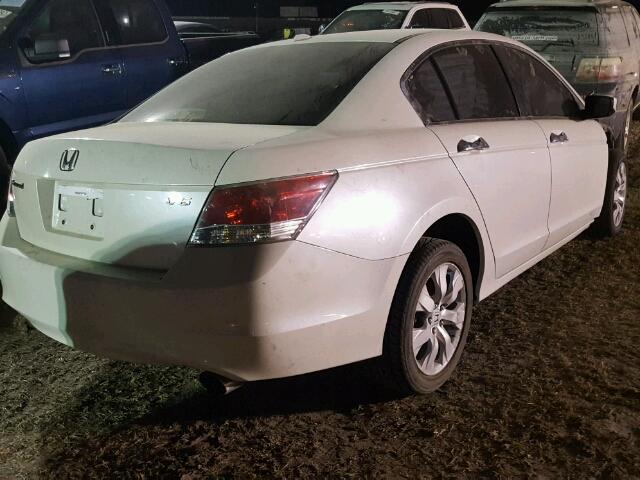 5KBCP3F81AB015523 - 2010 HONDA ACCORD EXL WHITE photo 4