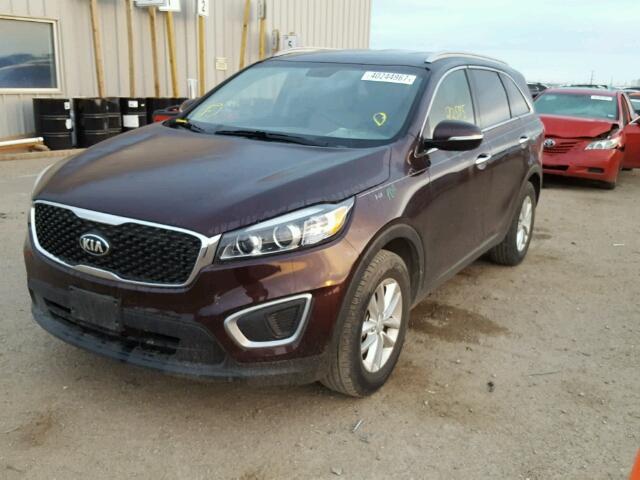 5XYPG4A30GG027763 - 2016 KIA SORENTO MAROON photo 2