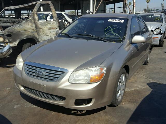 KNAFE122285507901 - 2008 KIA SPECTRA EX GOLD photo 2