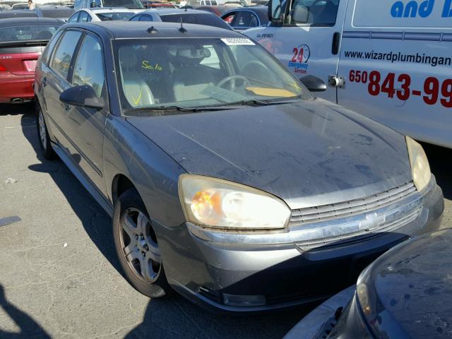 1G1ZU64874F146468 - 2004 CHEVROLET MALIBU MAX 灰色 照片 1