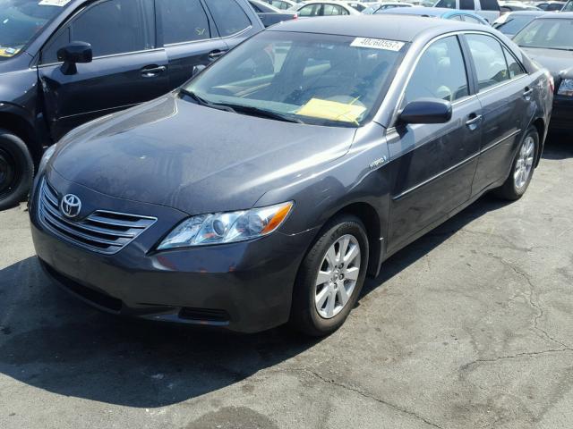 4T1BB46K29U090725 - 2009 TOYOTA CAMRY HYBR GRAY photo 2