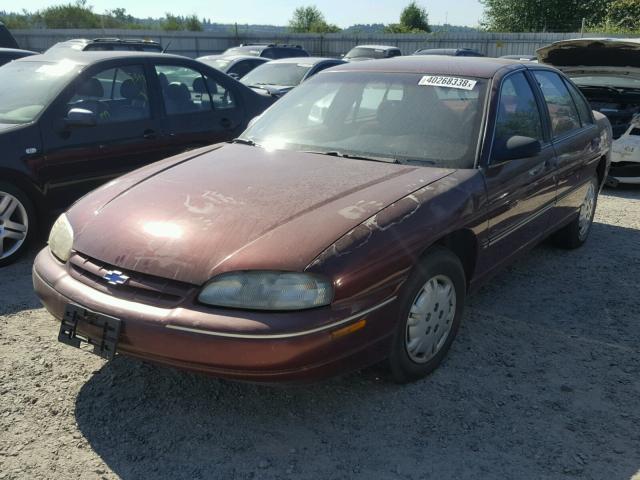 2G1WL52M3T1175374 - 1996 CHEVROLET LUMINA MAROON photo 2