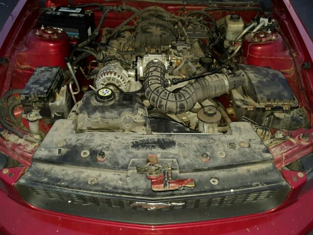 1ZVHT80N885137347 - 2008 FORD MUSTANG RED photo 7