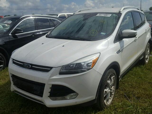 1FMCU0J98FUA68428 - 2015 FORD ESCAPE WHITE photo 2