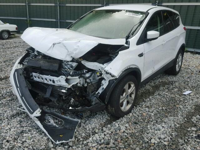 1FMCU9GX1EUB32933 - 2014 FORD ESCAPE WHITE photo 2