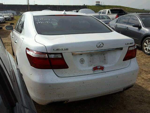 JTHBL46F175003228 - 2007 LEXUS LS 460 WHITE photo 3