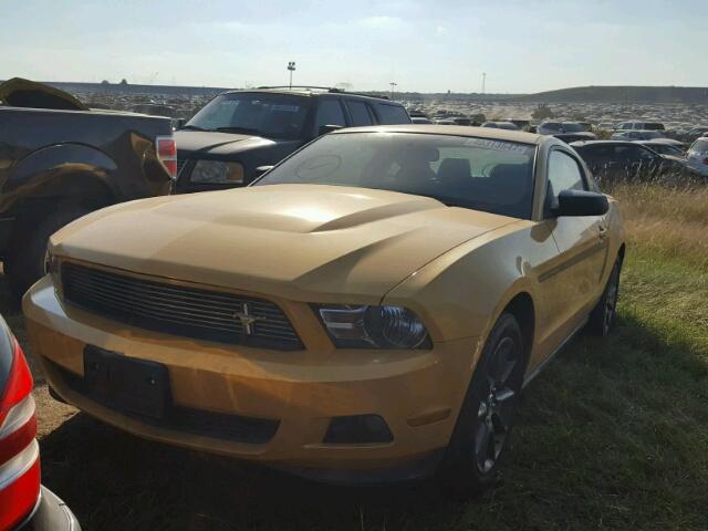 1ZVBP8AM2C5243236 - 2012 FORD MUSTANG YELLOW photo 2