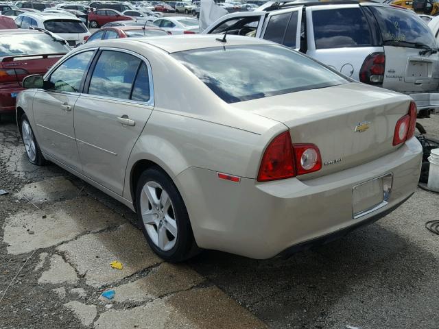 1G1ZB5EB7AF303907 - 2010 CHEVROLET MALIBU LS თაფლისფერი ფოტო 3