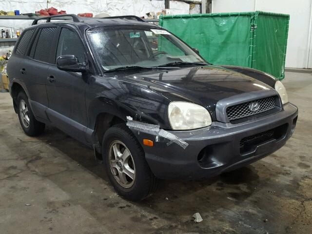 KM8SB12B43U507449 - 2003 HYUNDAI SANTA FE G BLACK photo 1