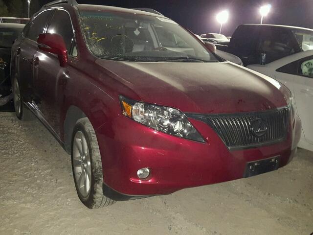 2T2ZK1BA8CC065309 - 2012 LEXUS RX 350 RED photo 1