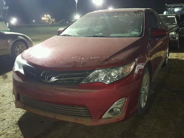 4T4BF1FK8ER342416 - 2014 TOYOTA CAMRY L RED photo 2