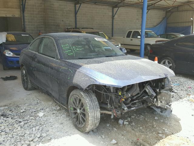 WBA1F5C50EV256024 - 2014 BMW 228 I BLUE photo 1