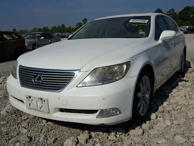 JTHBL46F895091455 - 2009 LEXUS LS 460 WHITE photo 2