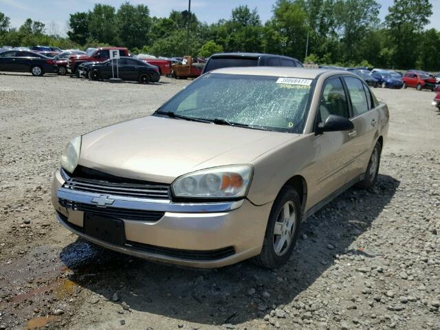 1G1ZT54835F180423 - 2005 CHEVROLET MALIBU LS TAN photo 2