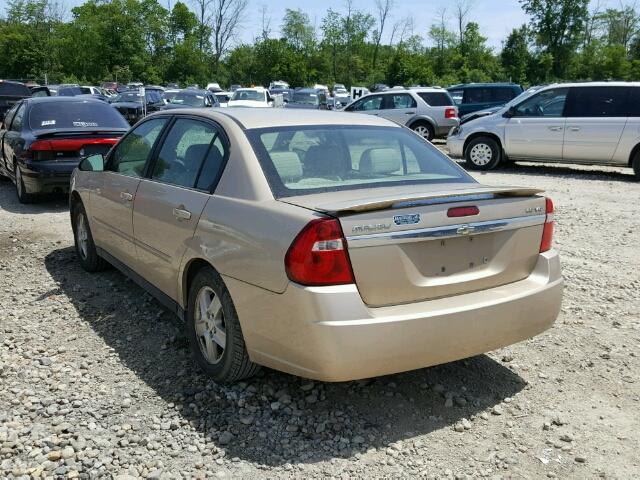 1G1ZT54835F180423 - 2005 CHEVROLET MALIBU LS TAN photo 3