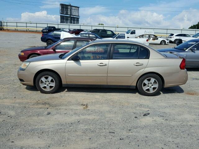 1G1ZT548X5F130778 - 2005 CHEVROLET MALIBU LS ოქროსფერი ფოტო 9