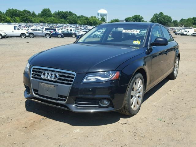 WAUSF78K29N020222 - 2009 AUDI A4 PREMIUM BLACK photo 2