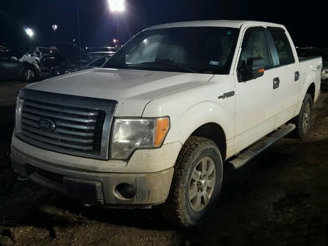 1FTFW1EFXCKD05039 - 2012 FORD F150 WHITE photo 2