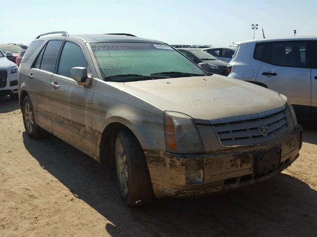 1GYEE637060191196 - 2006 CADILLAC SRX GOLD photo 1