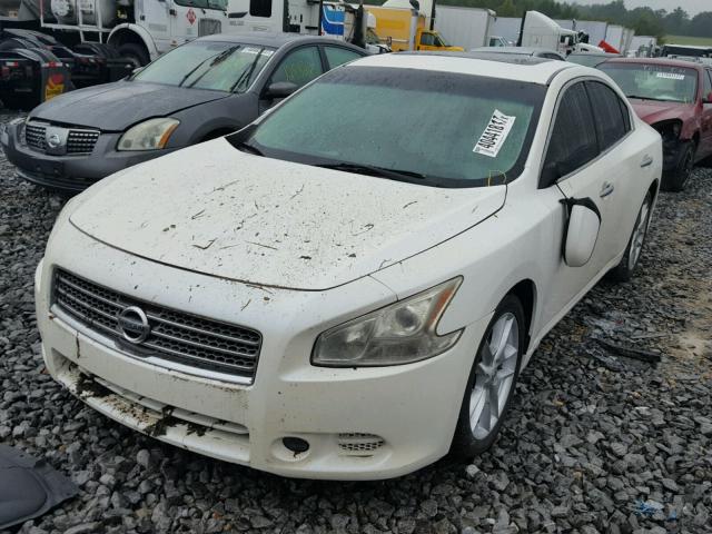 1N4AA51E19C822221 - 2009 NISSAN MAXIMA WHITE photo 2