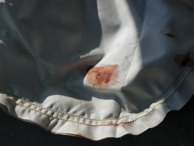 1GNDV23W77D189951 - 2007 CHEVROLET UPLANDER L 蓝色 照片 9