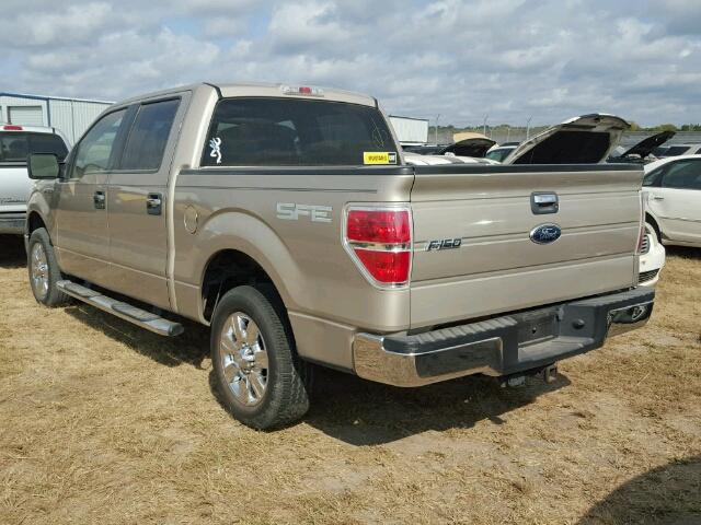 1FTRW12889FA28704 - 2009 FORD F150 GOLD photo 3