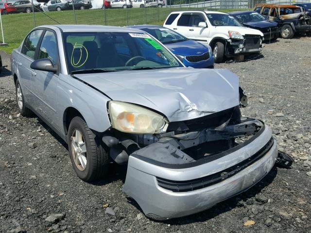 1G1ZT52884F232811 - 2004 CHEVROLET MALIBU LS SILVER photo 1
