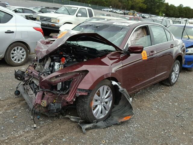 1HGCP2F89BA045955 - 2011 HONDA ACCORD EXL MAROON photo 2