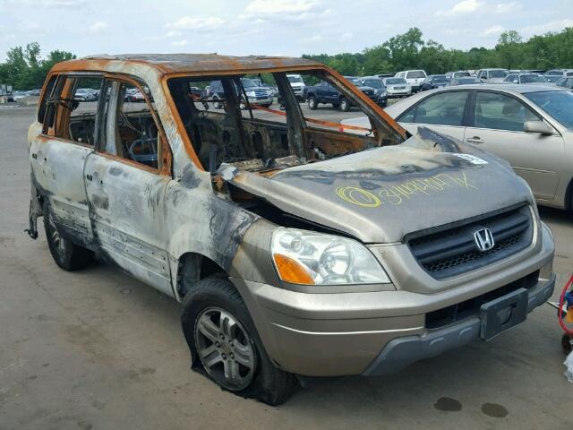 2HKYF18545H511373 - 2005 HONDA PILOT GOLD photo 1