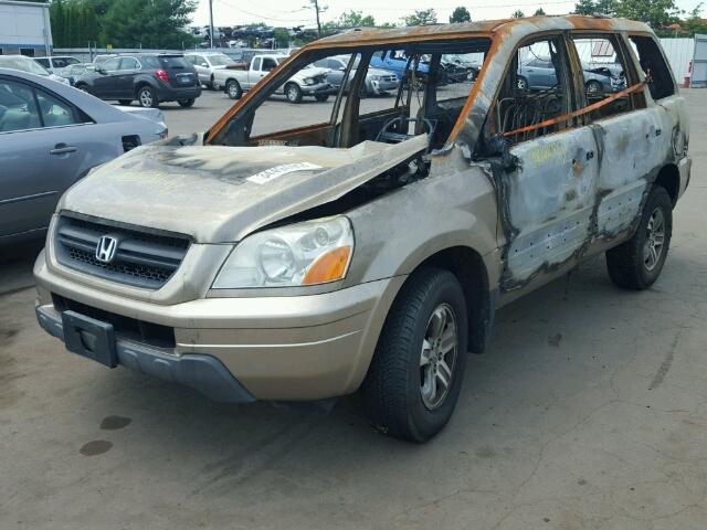 2HKYF18545H511373 - 2005 HONDA PILOT GOLD photo 2